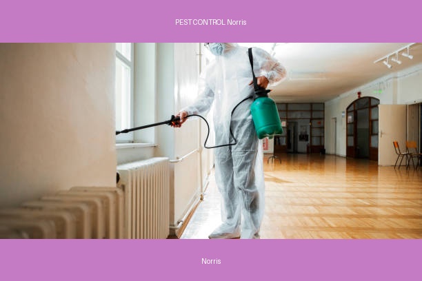 PEST CONTROL Norris